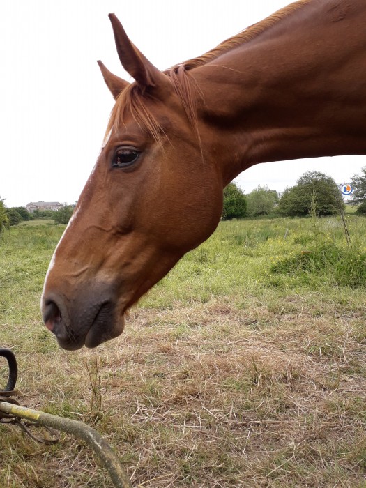Photo de profil de pauline2702