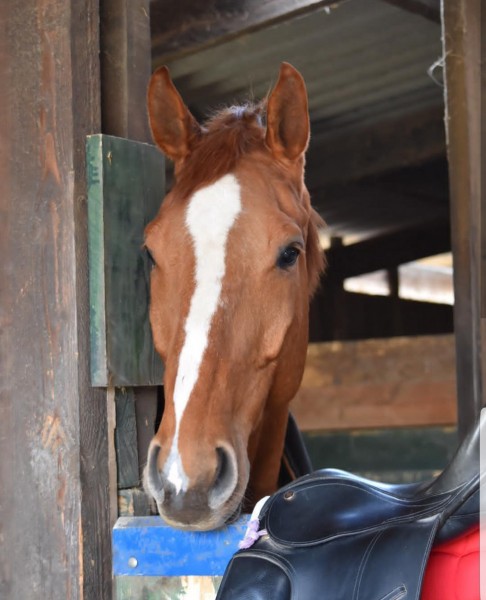 Photo de profil de pauline682