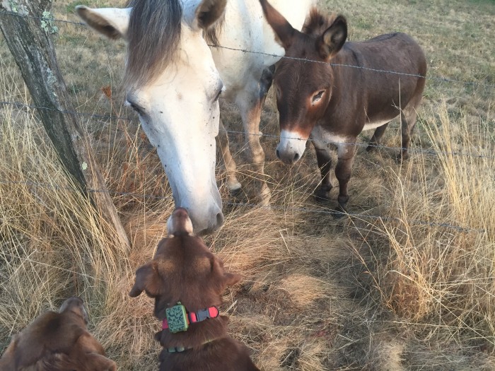 Photo de profil de pauline81