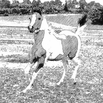 Photo de profil de paulinemadison