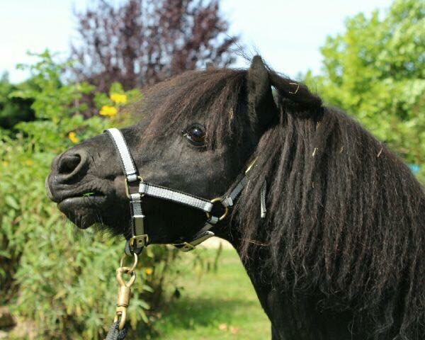 Photo de profil de pauline_tsnc