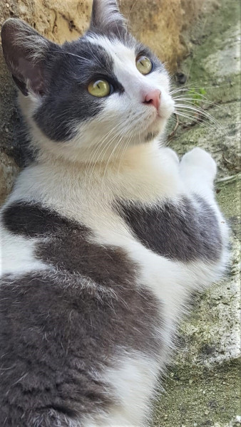 Photo de profil de paupau83