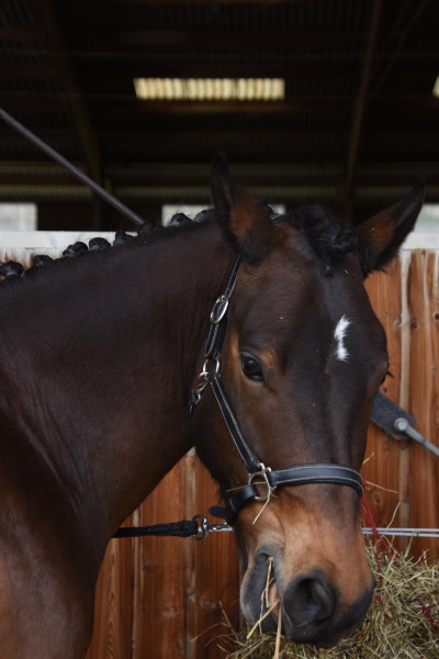 Photo de profil de pcechenevex