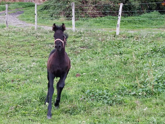 Photo de profil de peg63270