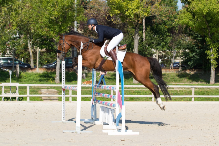 Photo de profil de pegasus21