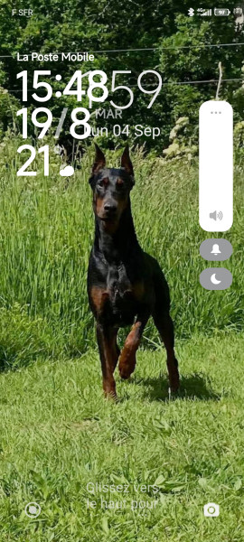 Photo de profil de penetrator35