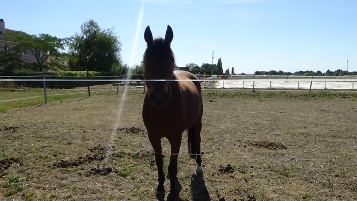 Photo de profil de pension44980