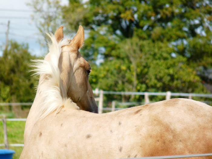 Photo de profil de pension46