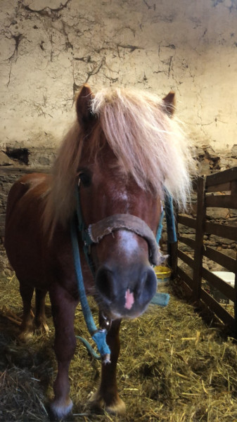 Photo de profil de pepin_3pommes