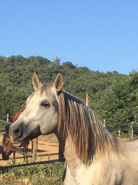 Photo de profil de pepito83