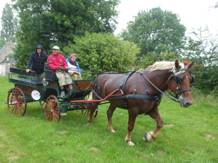 Photo de profil de percheron72