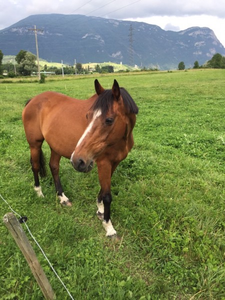 Photo de profil de petiteannonce