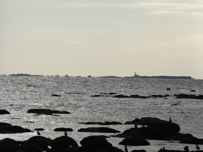 Photo de profil de petite_cavalire