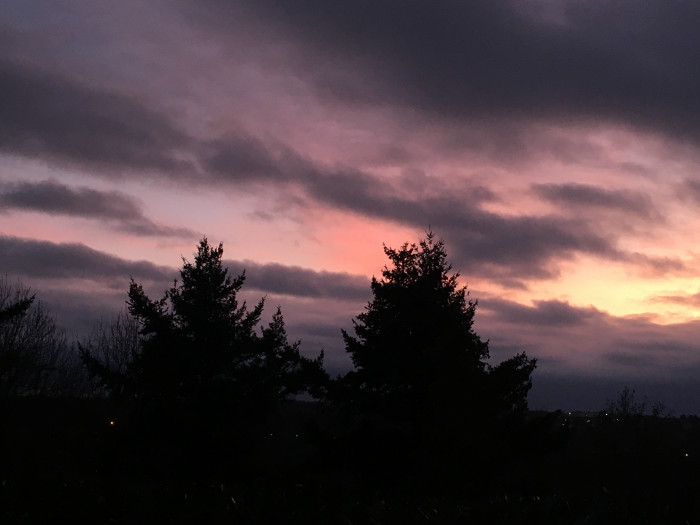 Photo de profil de petitevirginie