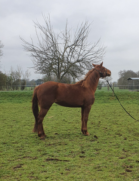 Photo de profil de petitonnerre87