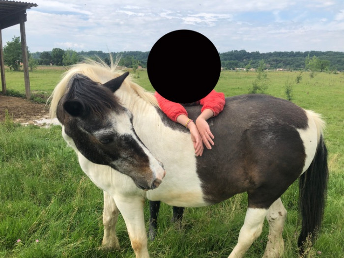 Photo de profil de petittonerreleb