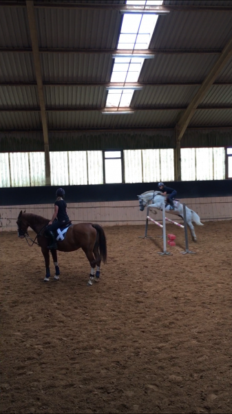 Photo de profil de phelie57