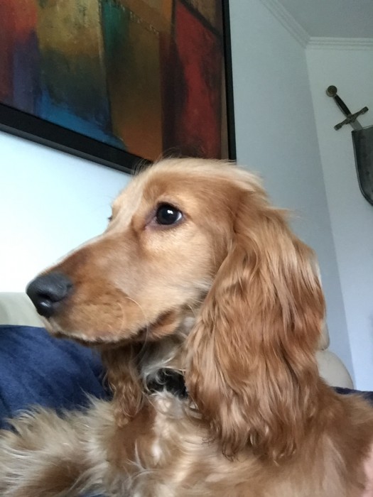 Photo de profil de philippotlaeti