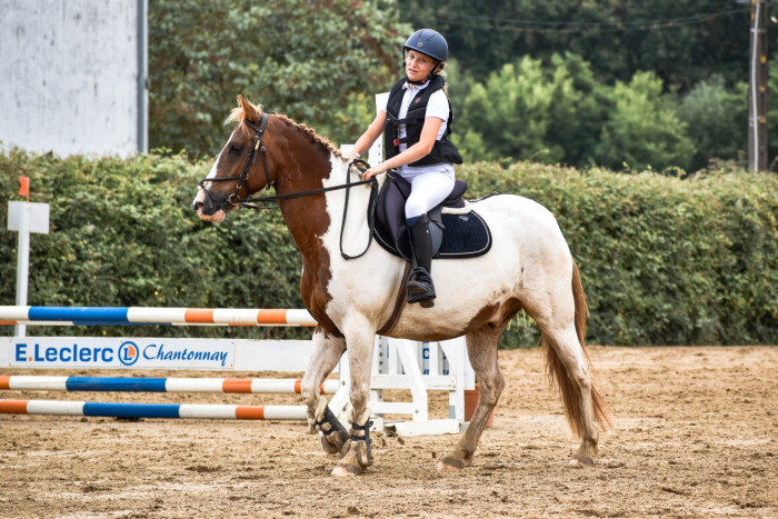 Photo de profil de phiphietchevaux