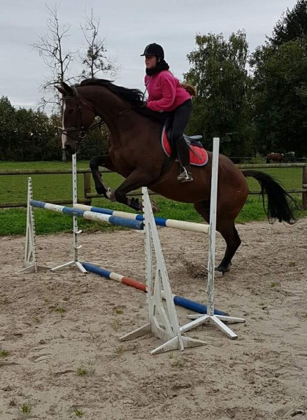 Photo de profil de phiphinix
