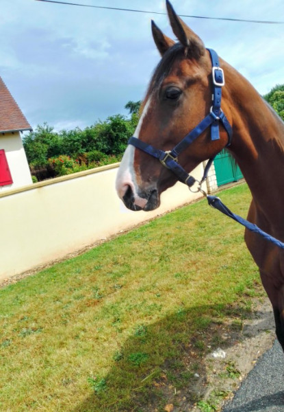 Photo de profil de phoebe_berrier