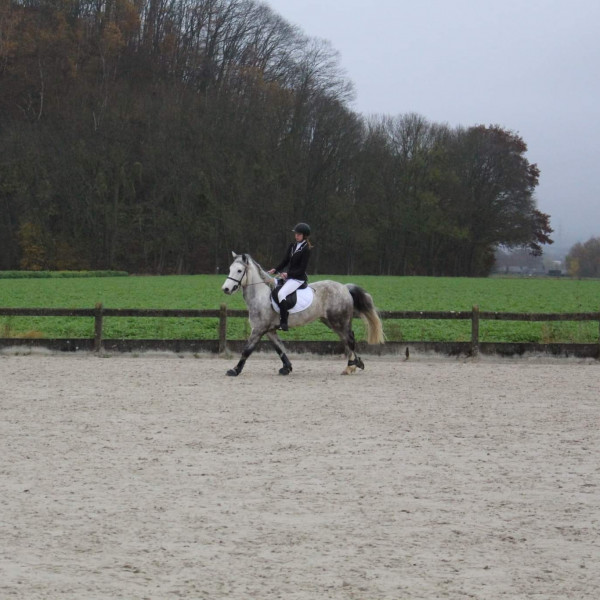 Photo de profil de emeline.dnr