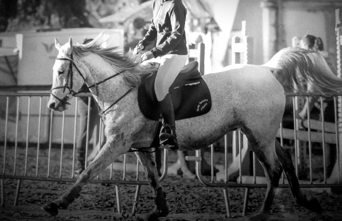 Photo de profil de maelysprd