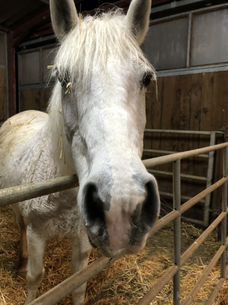 Photo de profil de shanaetjava