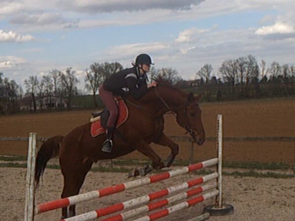Photo de profil de angiewendy