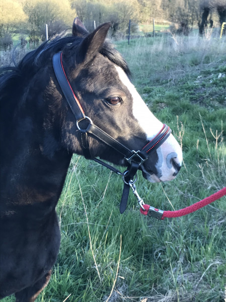 Photo de profil de bahiaxena