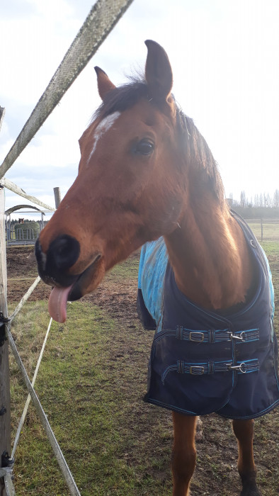 Photo de profil de ella63