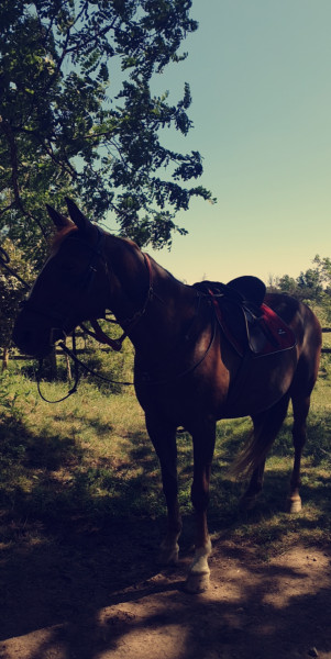 Photo de profil de maeva_lemon
