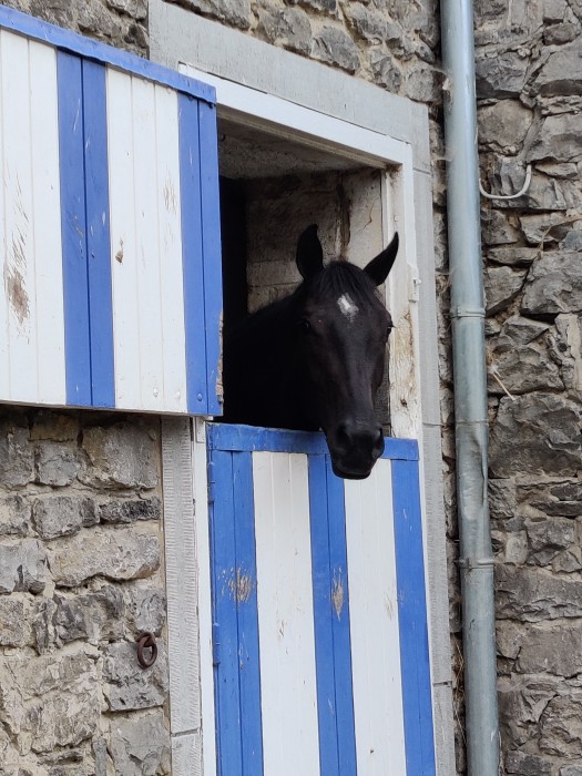 Photo de profil de lavineo