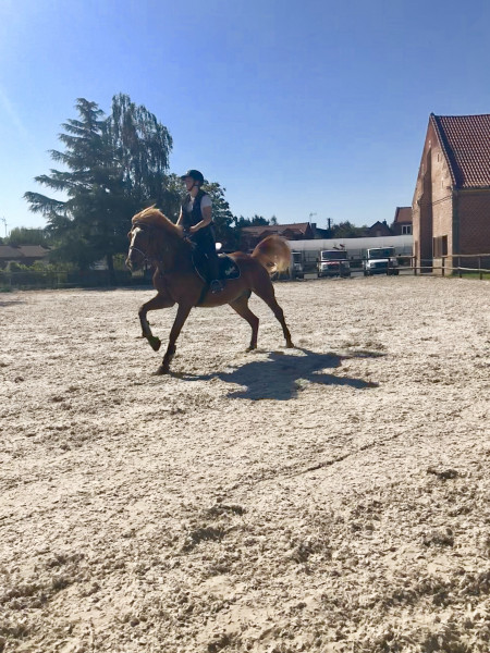 Photo de profil de jeanne.durieux