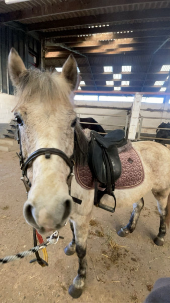 Photo de profil de clem0405