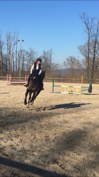 Photo de profil de caamill.e