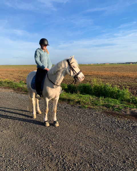 Photo de profil de camillejuml