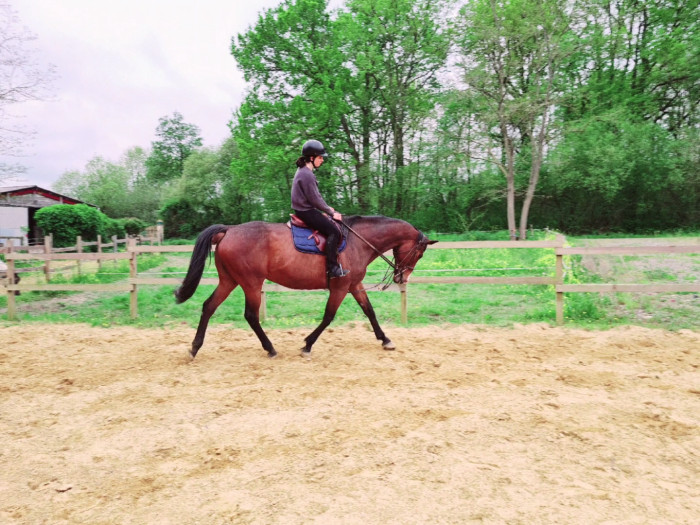 Photo de profil de phoenixngr