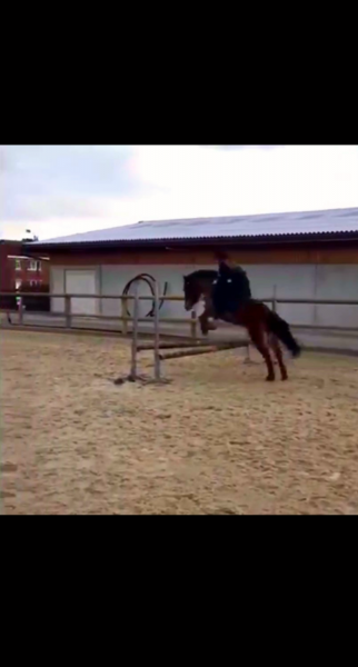 Photo de profil de lynaa