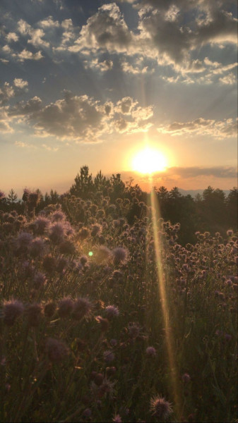 Photo de profil de carla.bel