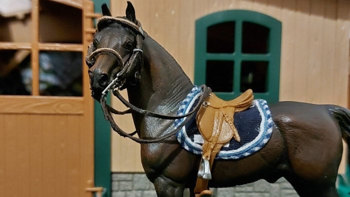 Photo de profil de lgbt