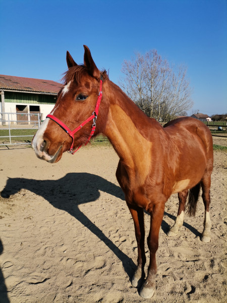 Photo de profil de amelie71460