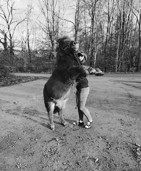 Photo de profil de mlle.rvl