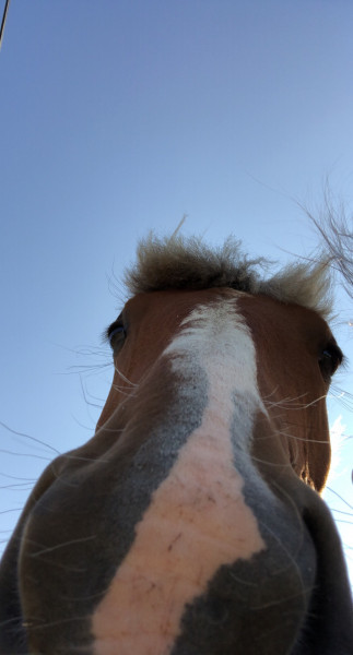 Photo de profil de eva4