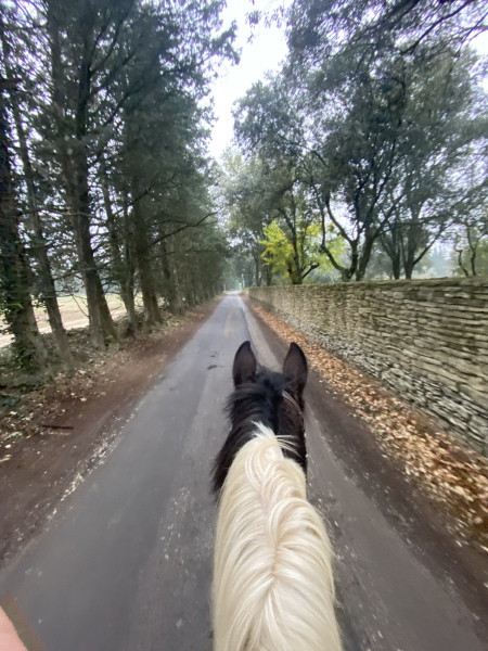 Photo de profil de liliclmtt