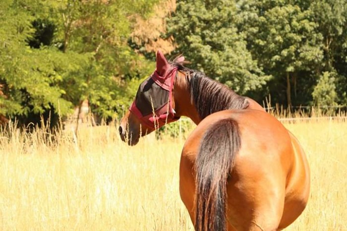 Photo de profil de sambiche