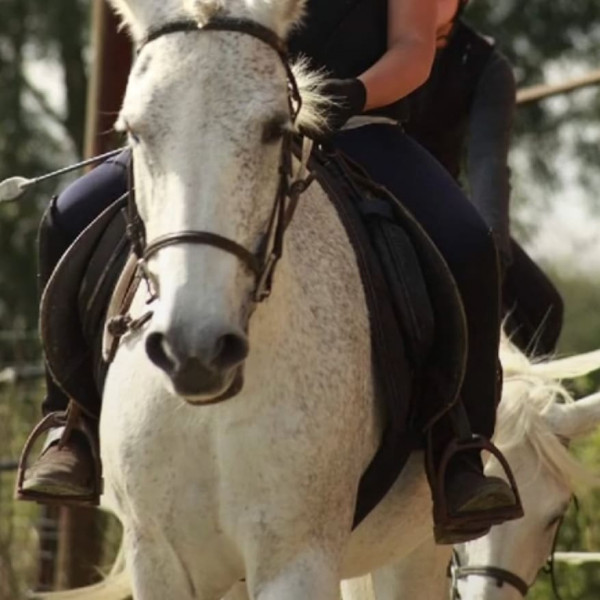 Photo de profil de ema1212