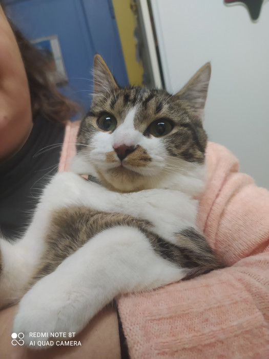 Photo de profil de sandra.lea