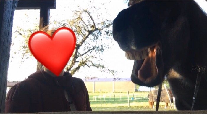 Photo de profil de mousse_et_moi