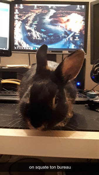 Photo de profil de juliiii